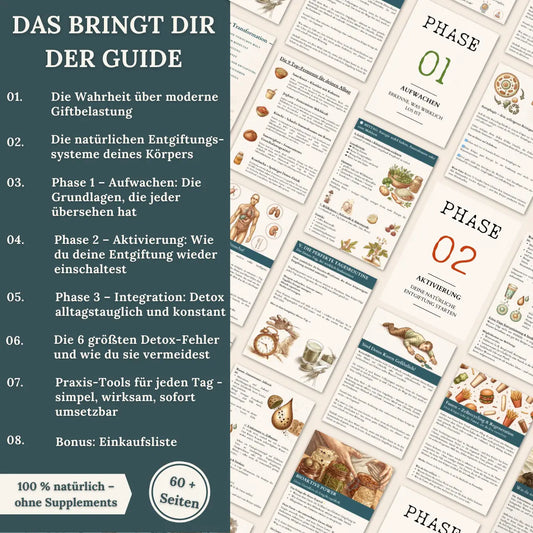 Dein Detox-Reset Guide