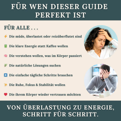 Dein Detox-Reset Guide