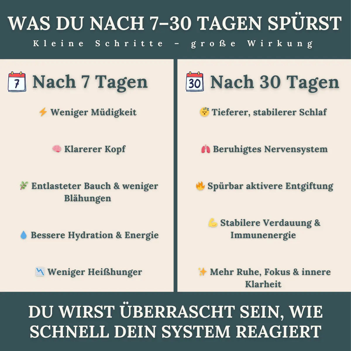 Dein Detox-Reset Guide