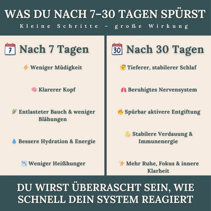 Dein Detox-Reset Guide