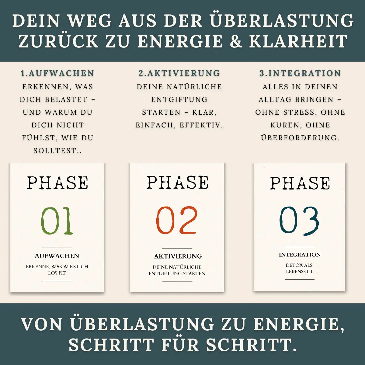 Dein Detox-Reset Guide