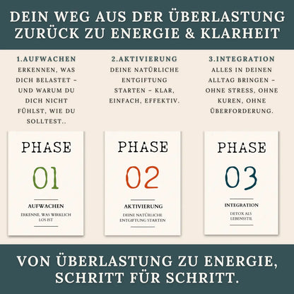 Dein Detox-Reset Guide